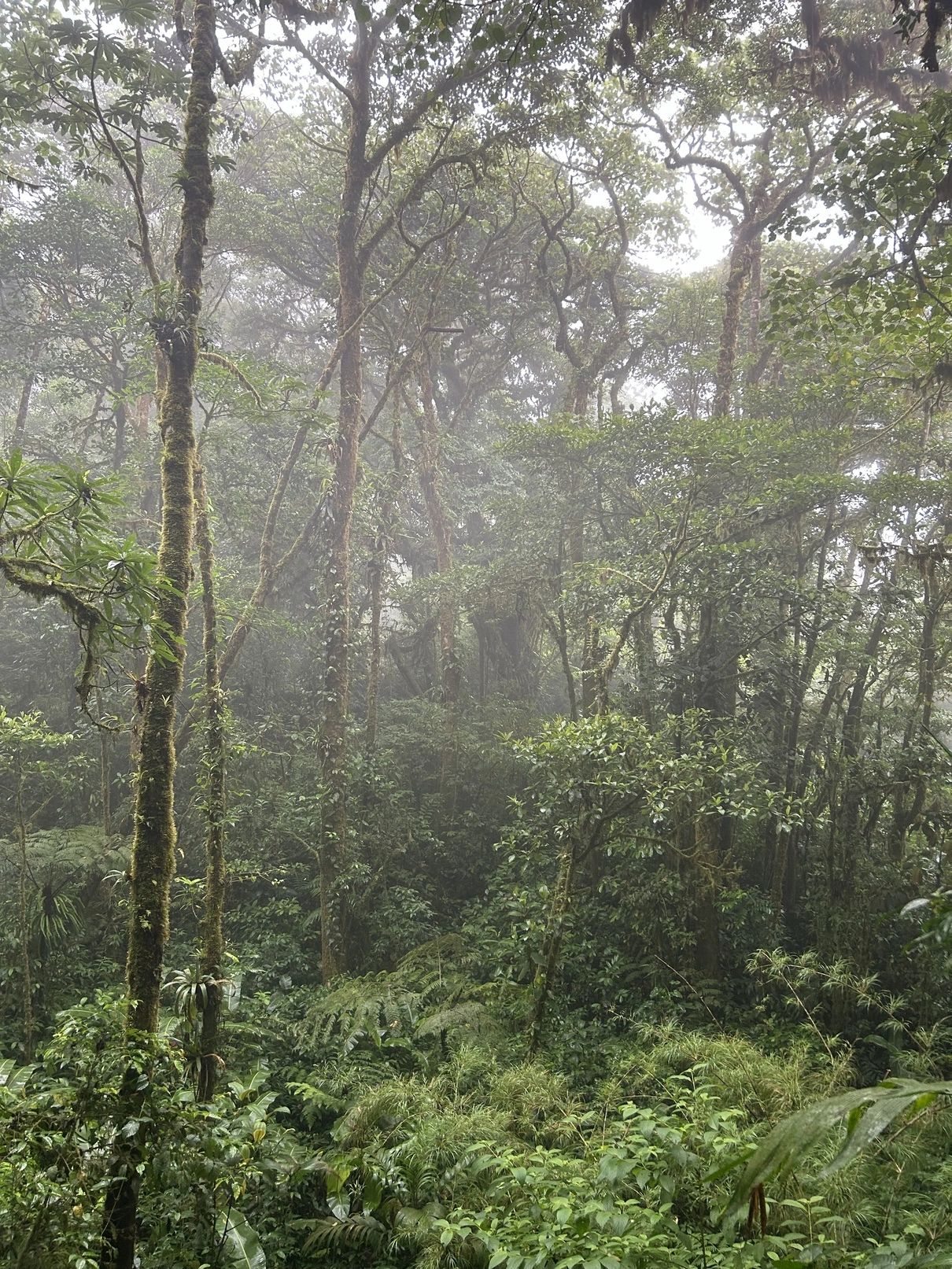 Costa Rica natural landscapes